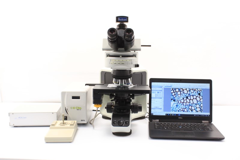Olympus BX53 Fluorescence LED Motorized Microscope - AV